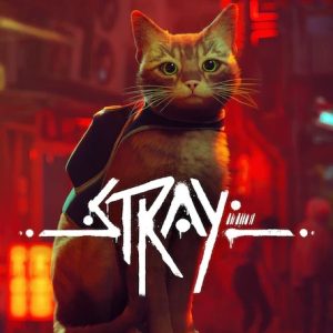خرید اکانت قانونی Stray