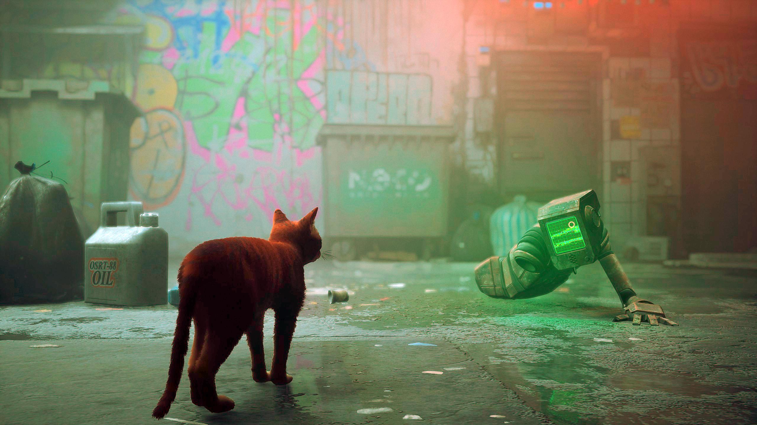 اکانت قانونی بازی Stray