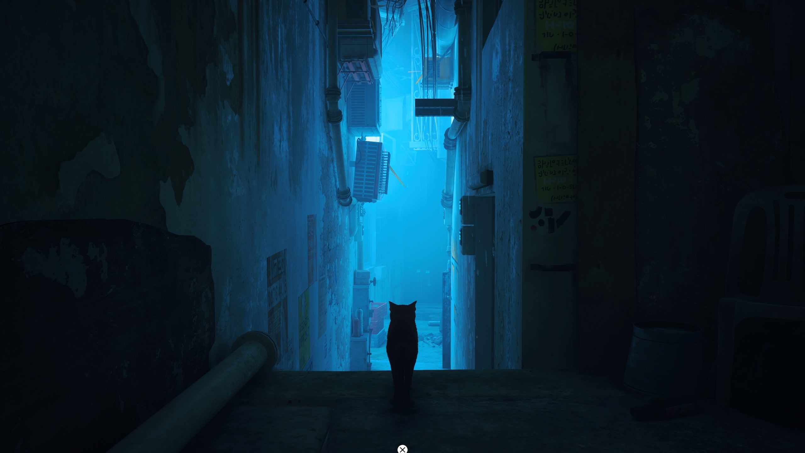 اکانت قانونی بازی Stray